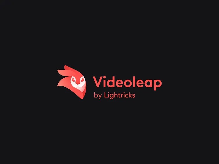 videoleap image